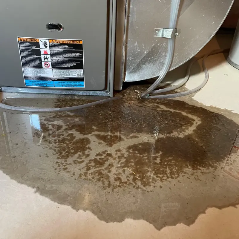 Appliance Leak Cleanup in King, NC